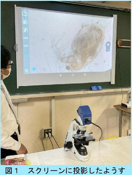 「水中の小さな生物を育てる」の報告