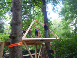 Schüler bauen ein Baumhaus