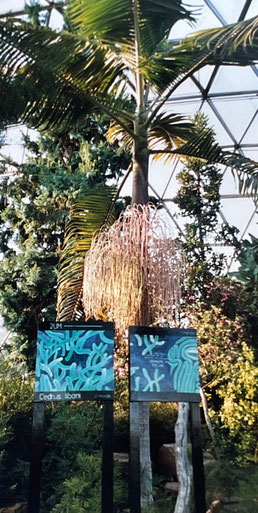 paintings in the dome, Botanical Garden Düsseldorf