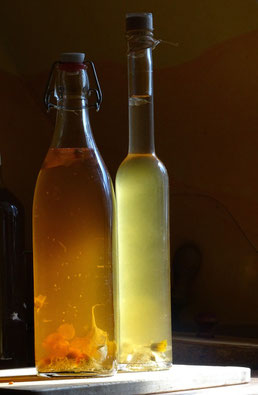 Hollerblütenessig mit essbaren Blüten