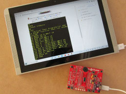 スカイベリージャムをターミナルソフトでタブレットから使用している写真