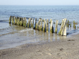 Bild: Hölzerne Strandbuhne