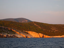 Vis