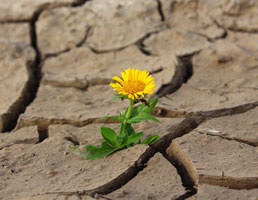 Positives Denken und Handeln - jetzt