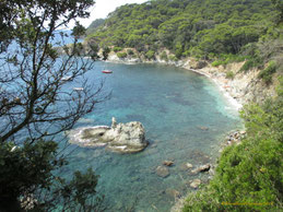 Plage des Darboussières