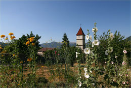 Alpes de Haute-Provence