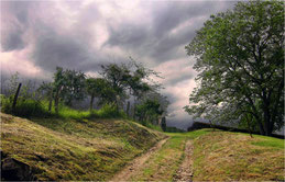 Chemin de campagne