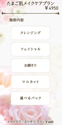たまご肌メイクケアプランの説明と金額