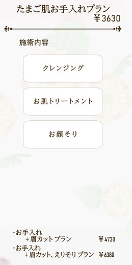 たまご肌お手入れプランの説明と金額