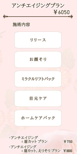 アンチエイジングプランの説明と金額