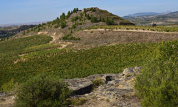 Necropolis de Perdigón