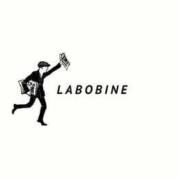 Lien vers la chaîne tiktok @lesbobines