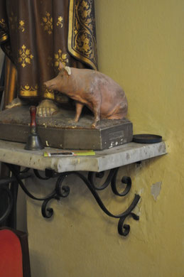 Prunelli-di-Casacconi - détail