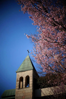 写真をクリックしてね。椿山荘の「桜Sensation」のページにJumpするよ！