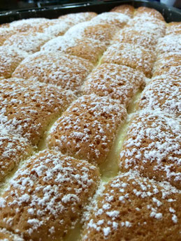 Steppdeckenkuchen Topfenkuchen