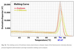 PCR Master mixe with EvaGreen for HMR anaysis versus Sybrgreen