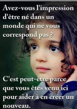 Béatrice ZAMBELLI, Psychopraticienne, Astrologue et Formatrice. Relation d'Aide, Développement personnel, Accompagnement spécifique des Hypersensibles & Haut Potentiel (HPI/HPE/HPC) - Vaucluse