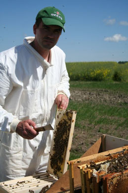 2008 - erste Wanderung
