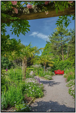 Blarney Stone#Blarney Castle#Irland#Gärten#Roland Valter#rolva#Natur-Fotografie#Aachen #Poison Garden