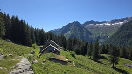 Alpe Cicerwald