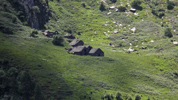 Alpe Menta