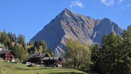 Tagliaferro