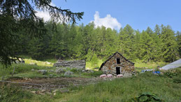 Alpe Waira (CH)