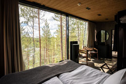 Blick in den Wald und auf den See von der Unterkunft