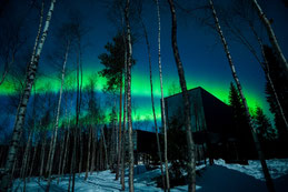 Polarlichter über dem Silver Birch Resort