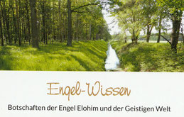 Logo mit einem Bach, der durch einen Wald fließt, darunter steht: Engel-Wissen Botschaften der Engel Elohim und der Geistigen Welt