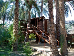 Hôtel Diar Abou Habibi