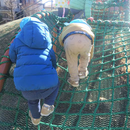 上まで登りきるぞ！