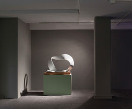 2009 "Antonym", Städtische Kunsthalle Mannheim