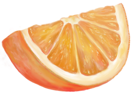 Orange, Orangenschnitz, Zitrusfrucht, Grafiktablett, ObK 2018