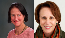 County Board Candidates (above - left to right): Audrey Clement, Libby Garvey