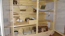 Chinchillas Tsv Krems Webseite