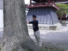 板橋不動尊神木での採気