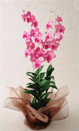 講習作品(予定)紫陽花(新作/写真は試作中イメージです)