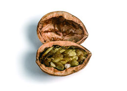 Thomas Neumaier: Hops and Walnut