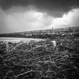 Tous droits réservés © Mathieu Prat - Photographe au Pays-Basque 