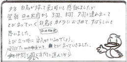 お客様から寄せられた直筆のご感想（クリックで拡大）