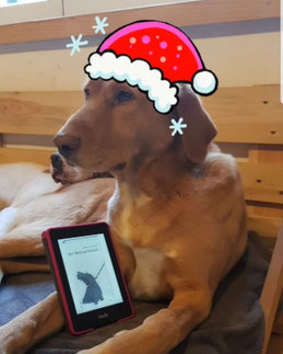 Der Weihnachtshund