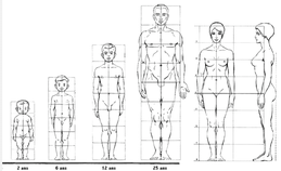 cours de sculpture morphologie proportions corps nouveausculpteur magne