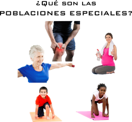 Entrenamiento Personal adaptado a Poblaciones Especiales y Personas con Discapacidad. Servicio en Línea (on-line)
