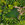 vogeleye.ch portfolio image 2