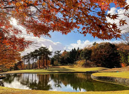 越前カントリークラブ (Instagram) 3番PAR3