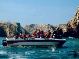 Paracas Ica Nasca Ballestas Inseln Humboldtpinguine Huacachina Oase Nascalinien Nazcalineien Paititi-Tours