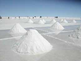 Bolivien La Paz Sucre Potosi Uyuni Salzebene Fischinsel Anden