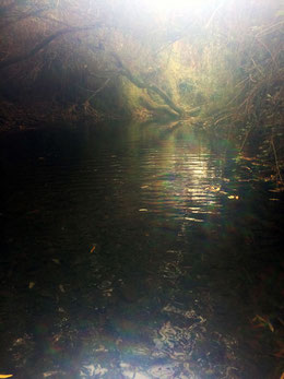 apollo-artemis, mode, design, nachhaltig, handgemacht, foto, reise, israel, inspiration, regenbogen, lichtbrechung, en gedi naturreserve