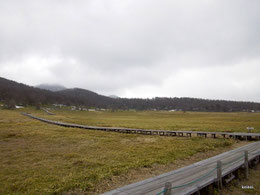 湯の丸高原　篭ノ登山　池の平湿原